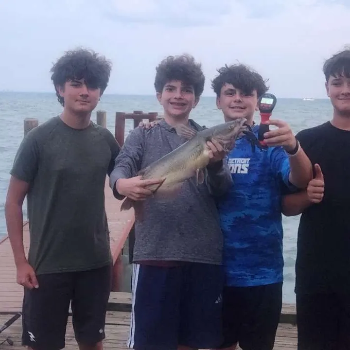 Channel catfish caught on Fishbrain