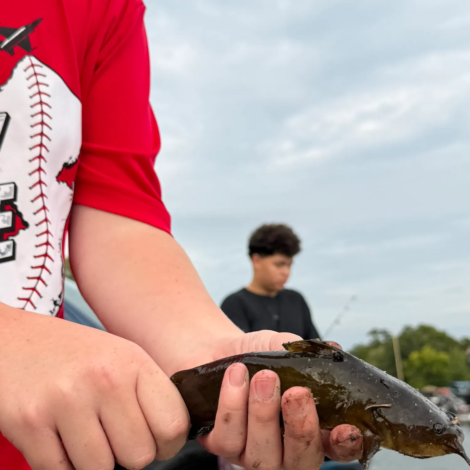 Yellow bullhead caught on Fishbrain