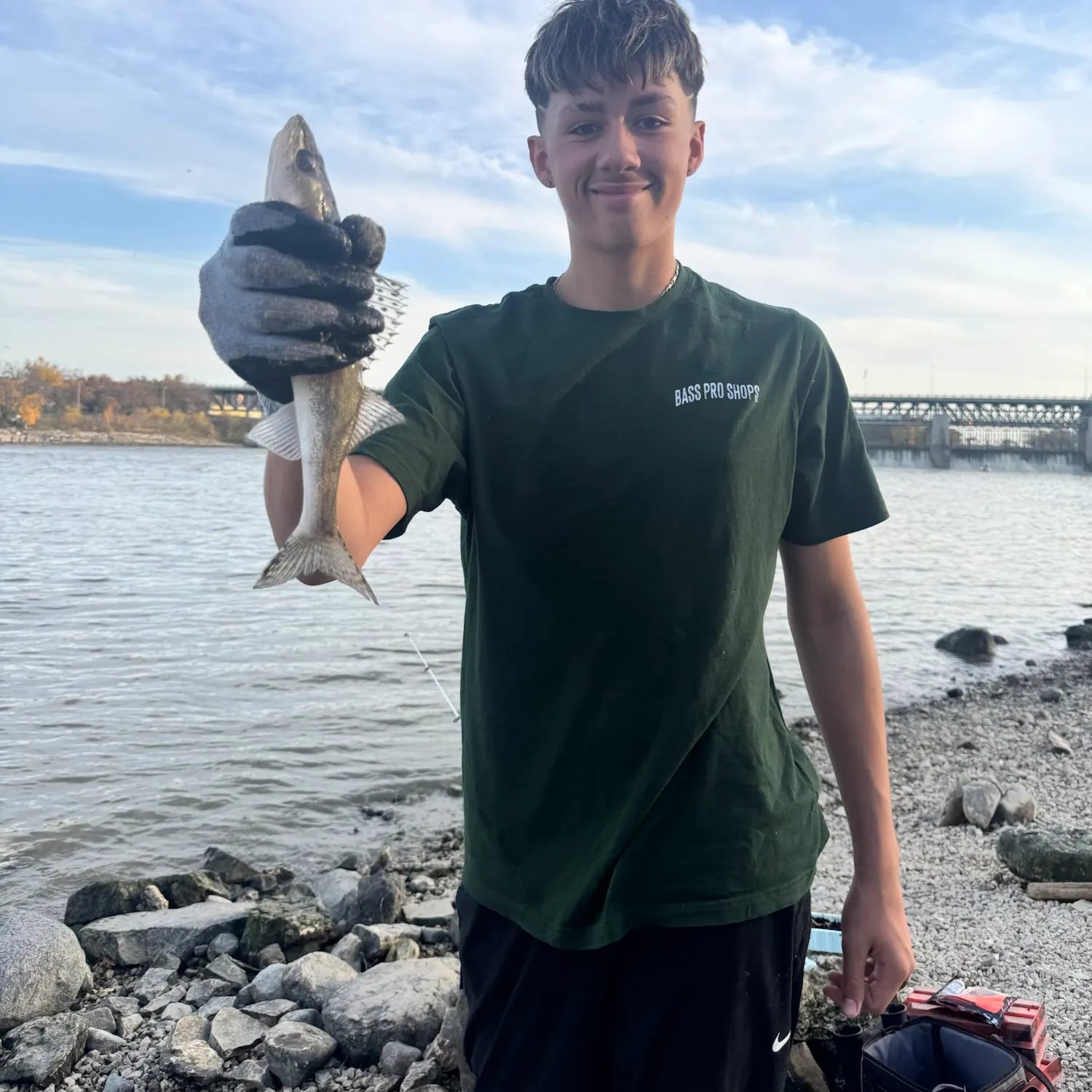 Sauger caught on Fishbrain