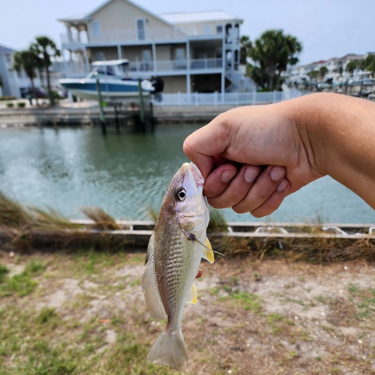 catch
