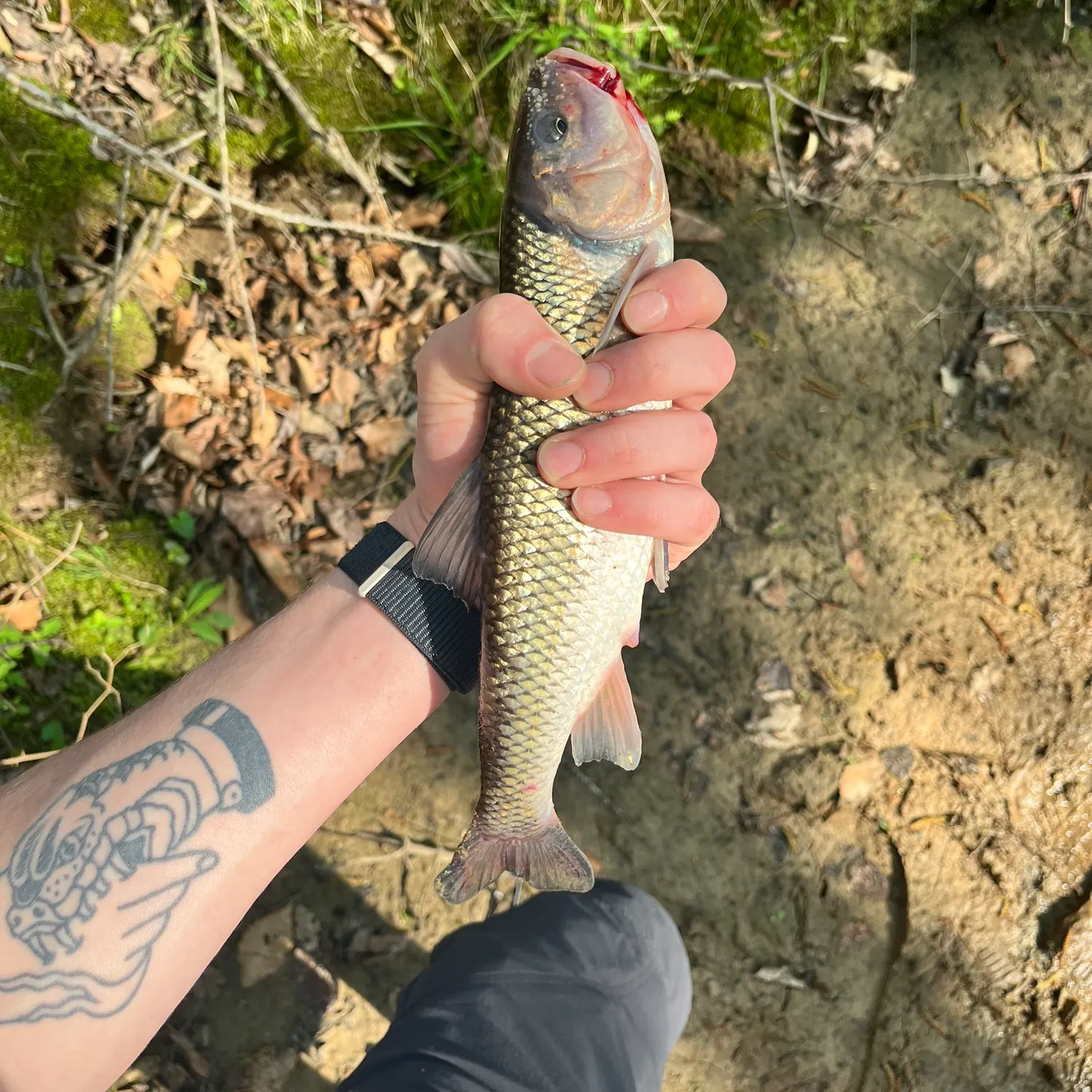 catch