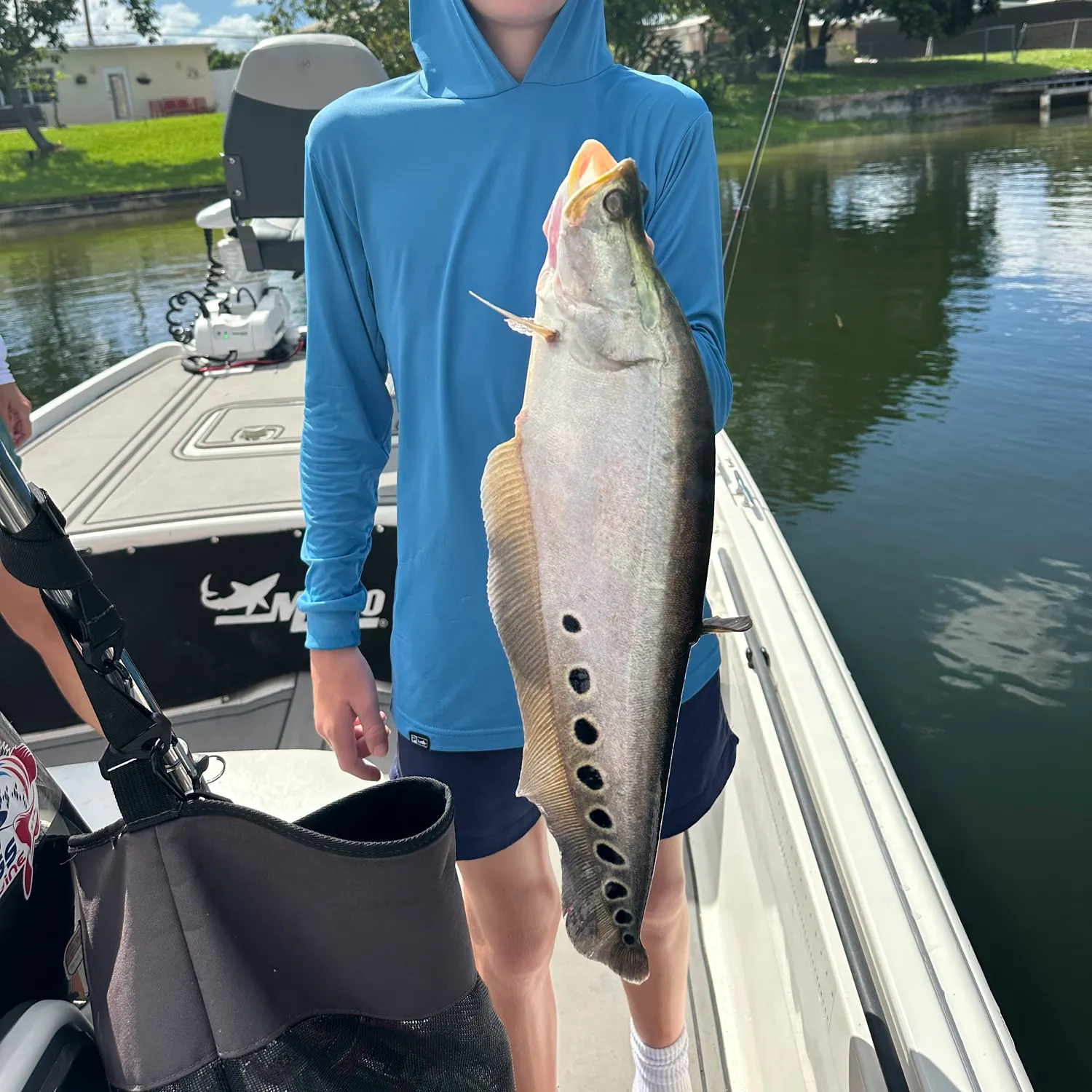 The most recent Clown knifefish catches on Fishbrain