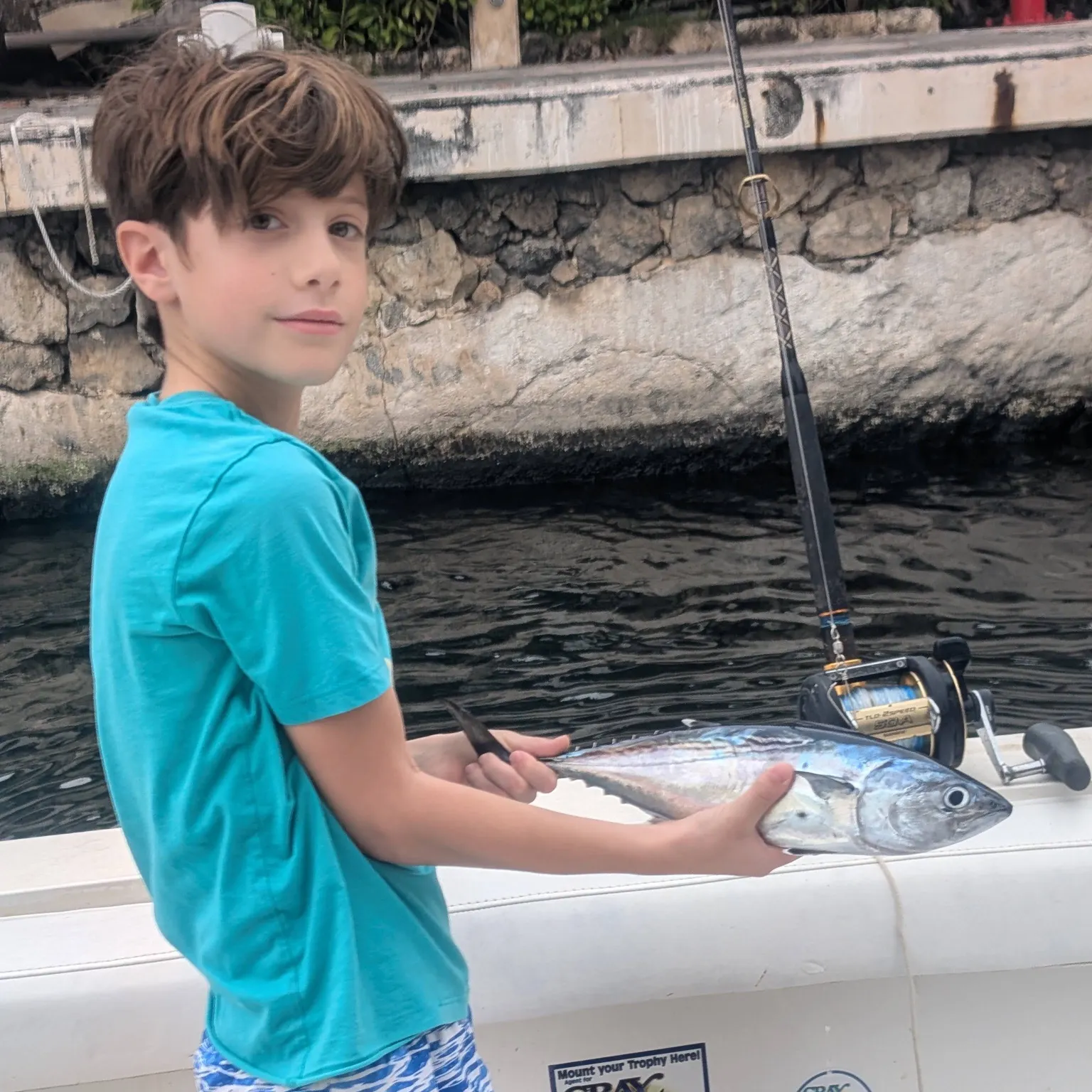 The most recent Plain bonito catches on Fishbrain