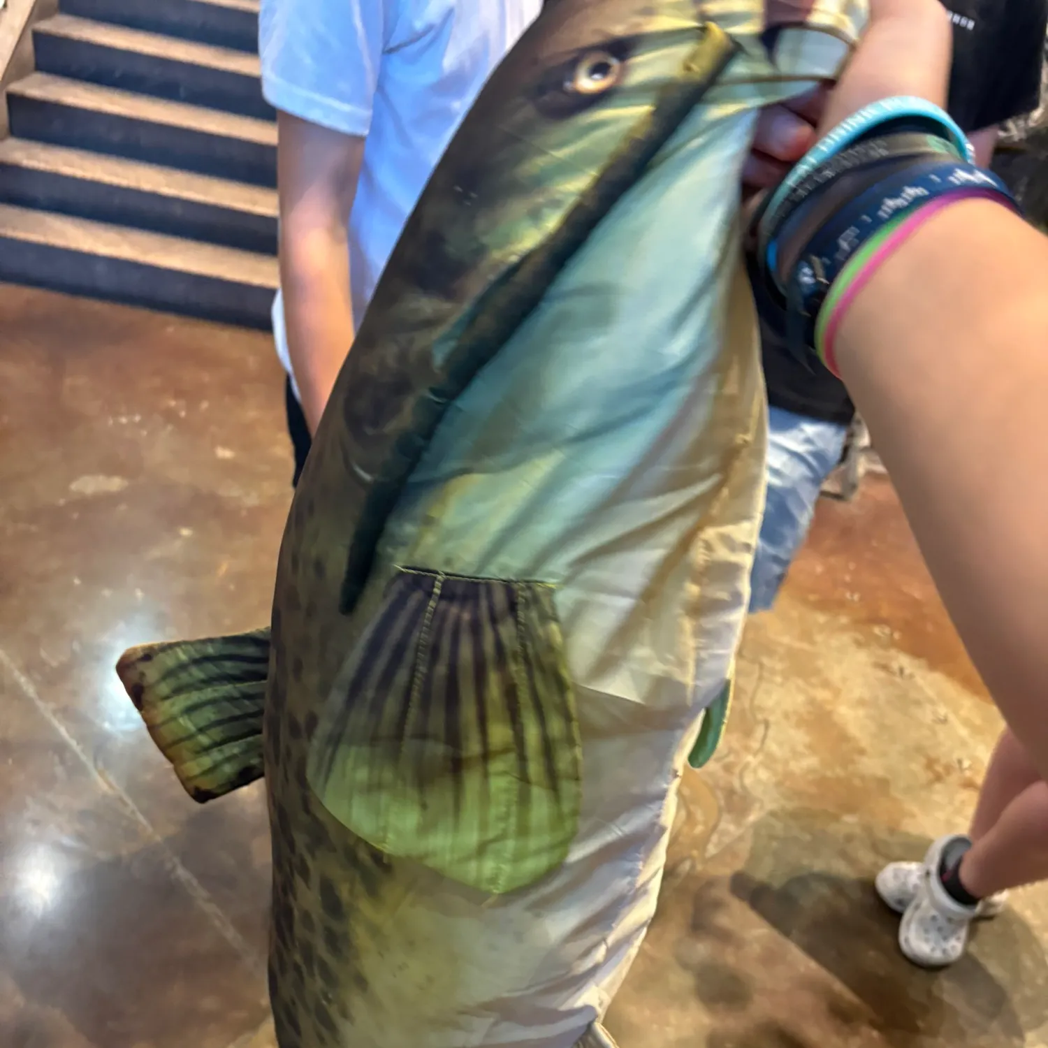 The most recent Spotted pimelodus catches on Fishbrain