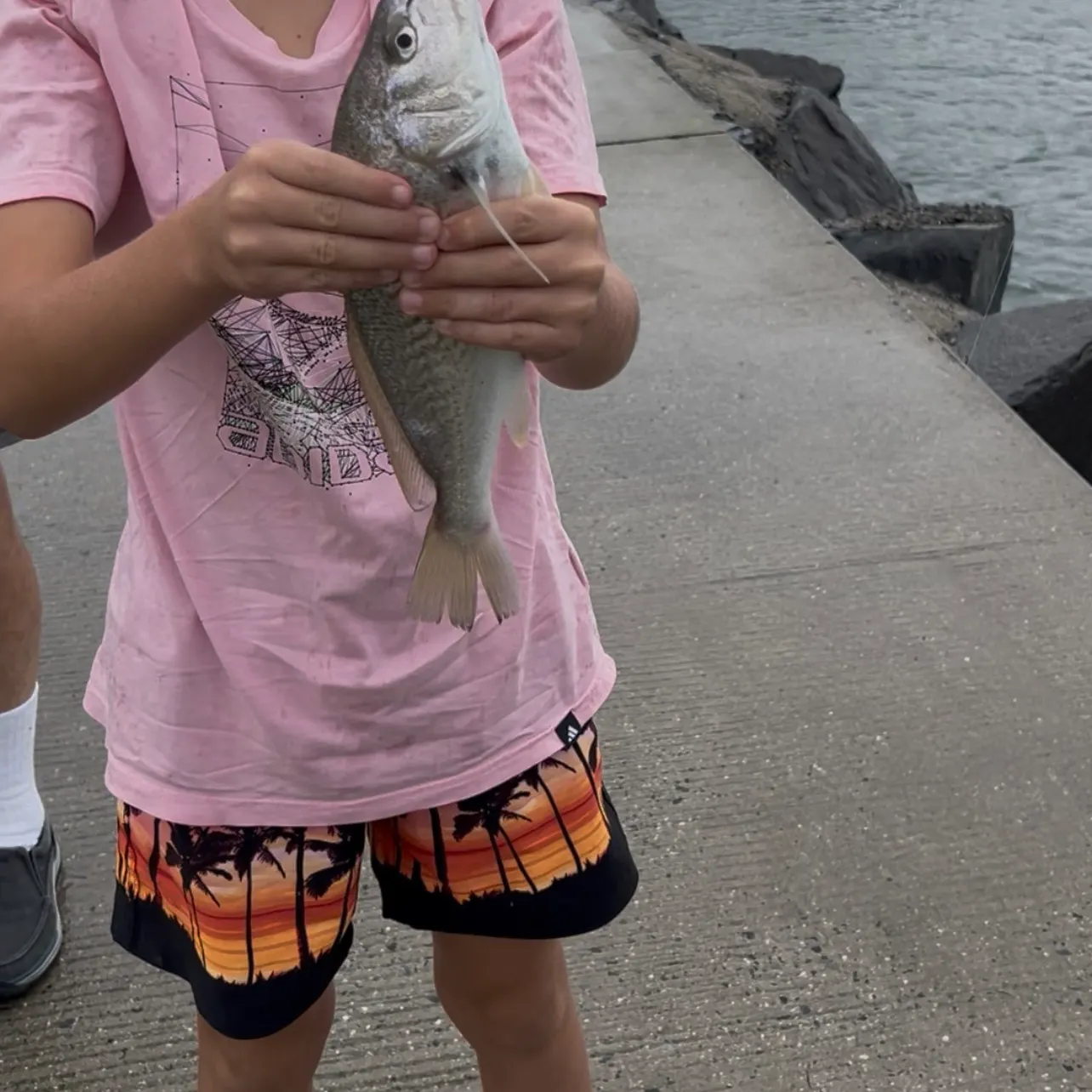Atlantic croaker caught on Fishbrain