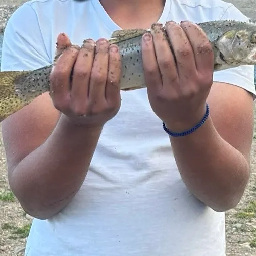Bonneville cutthroat trout caught on Fishbrain