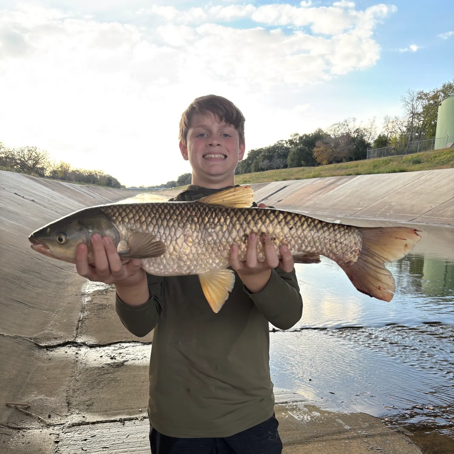The most recent Grass carp catches on Fishbrain