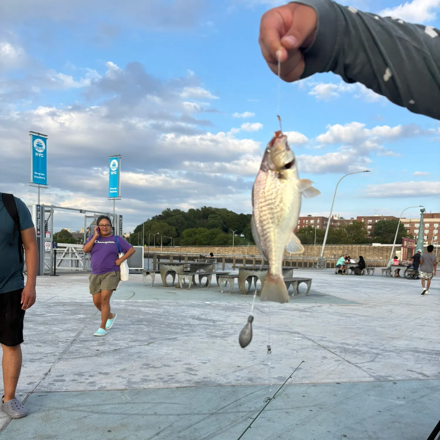 catch