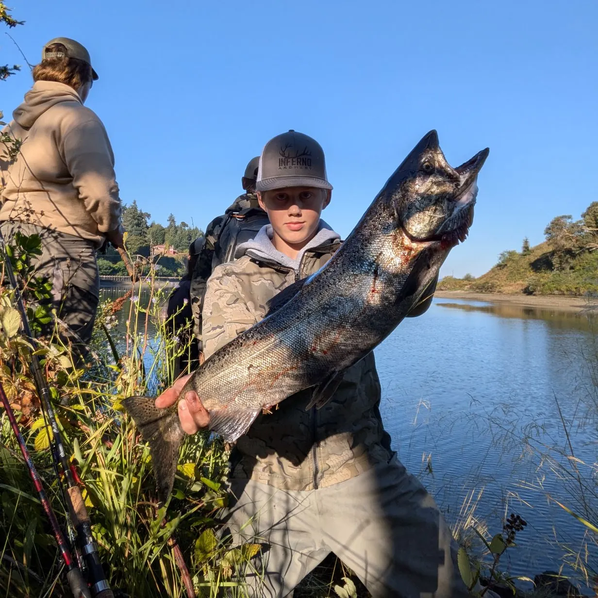 Chinook salmon caught on Fishbrain