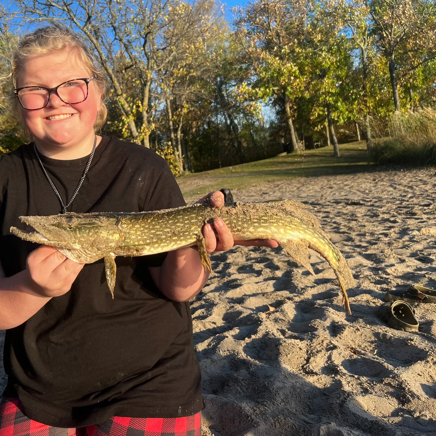 Northern pike caught on Fishbrain