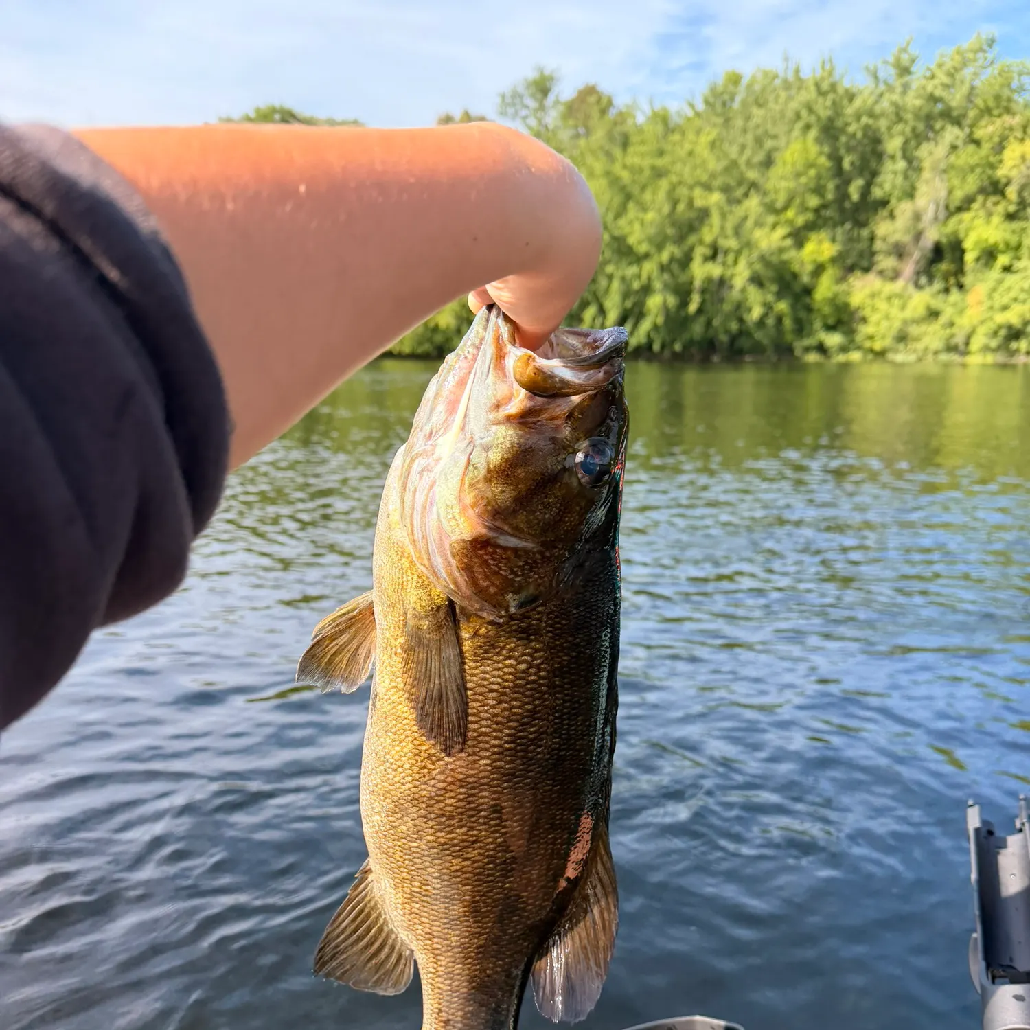 Smallmouth bass caught on Fishbrain