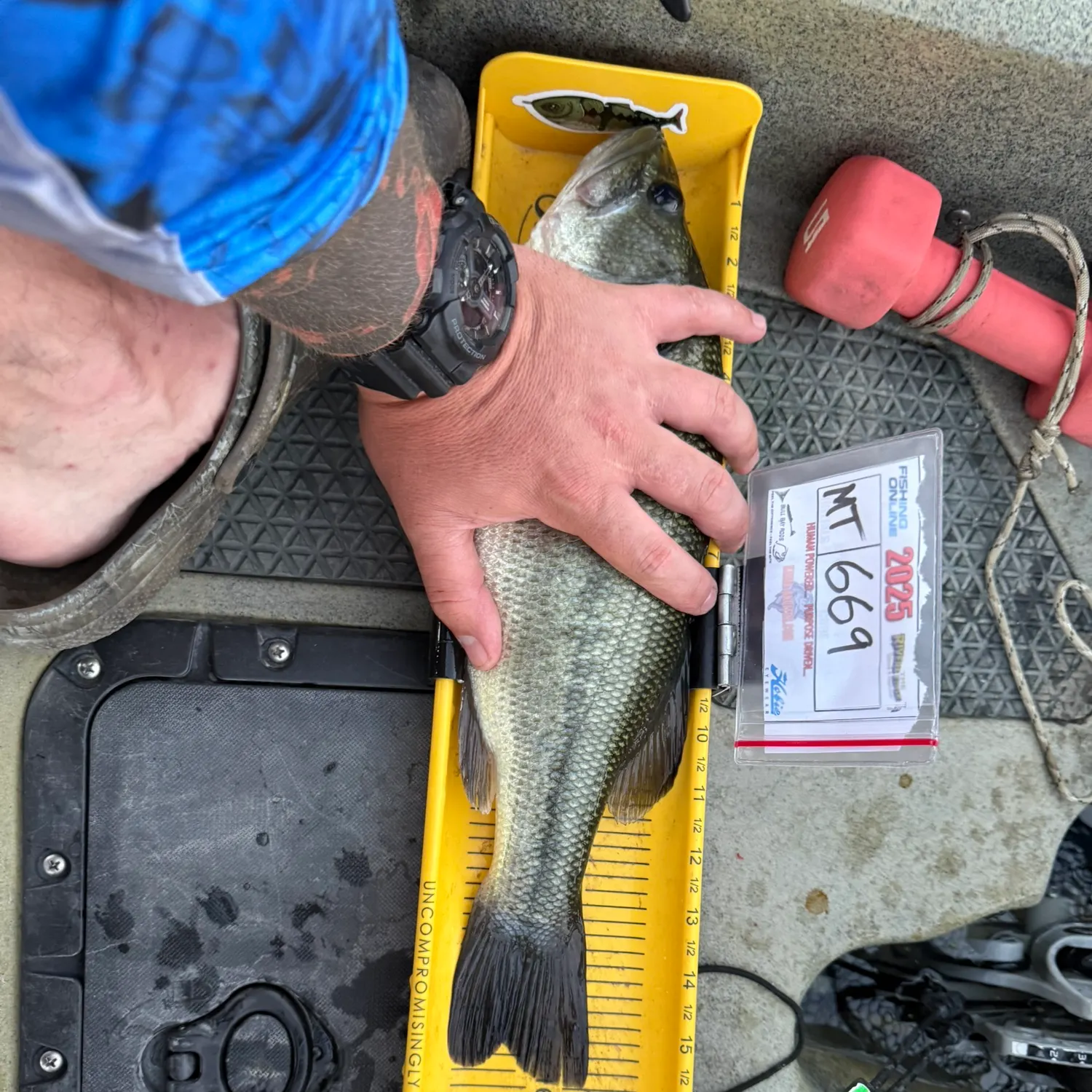 recently logged catches