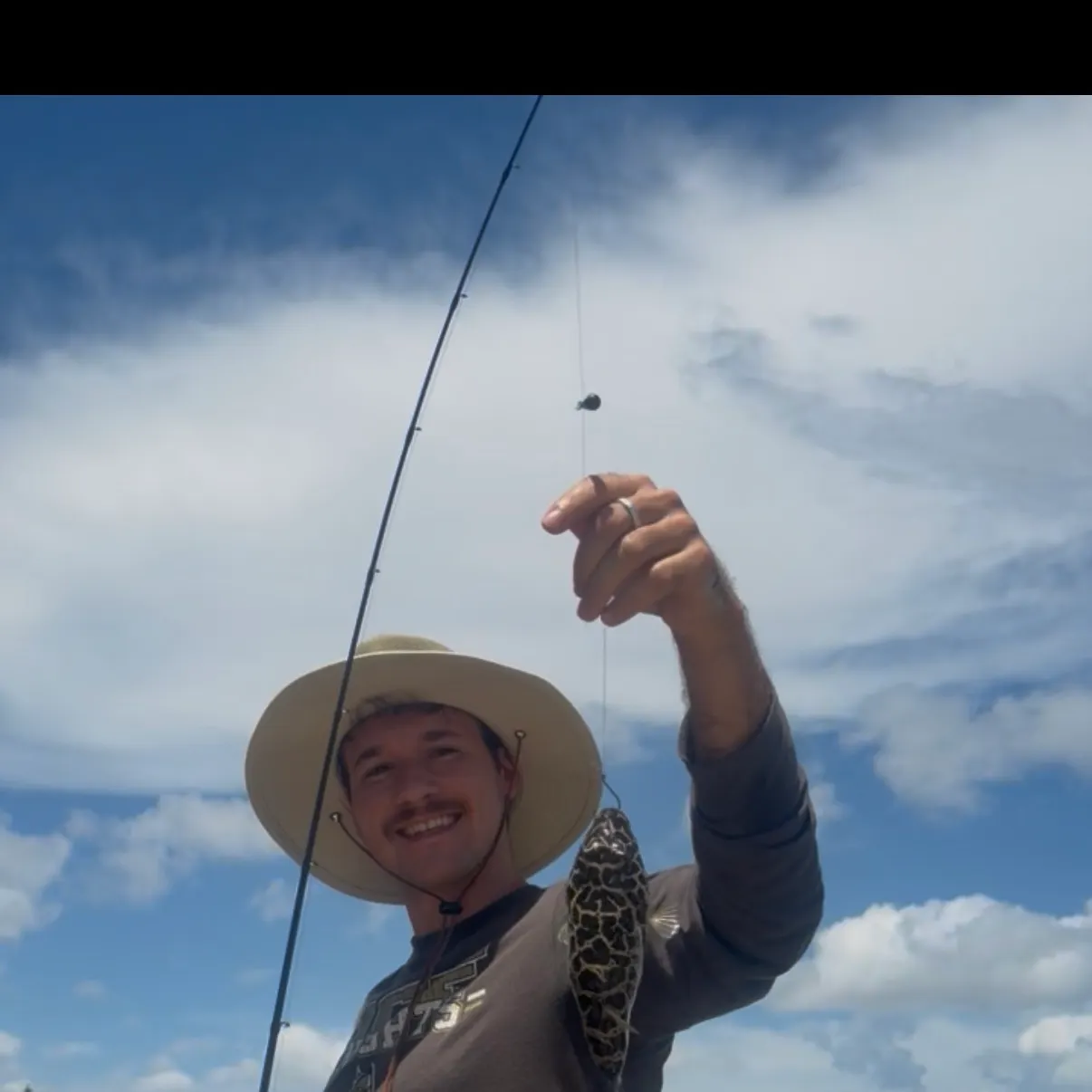 The most recent Checkered puffer catches on Fishbrain