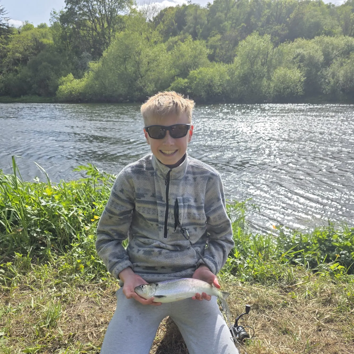 The most recent Twait shad catches on Fishbrain