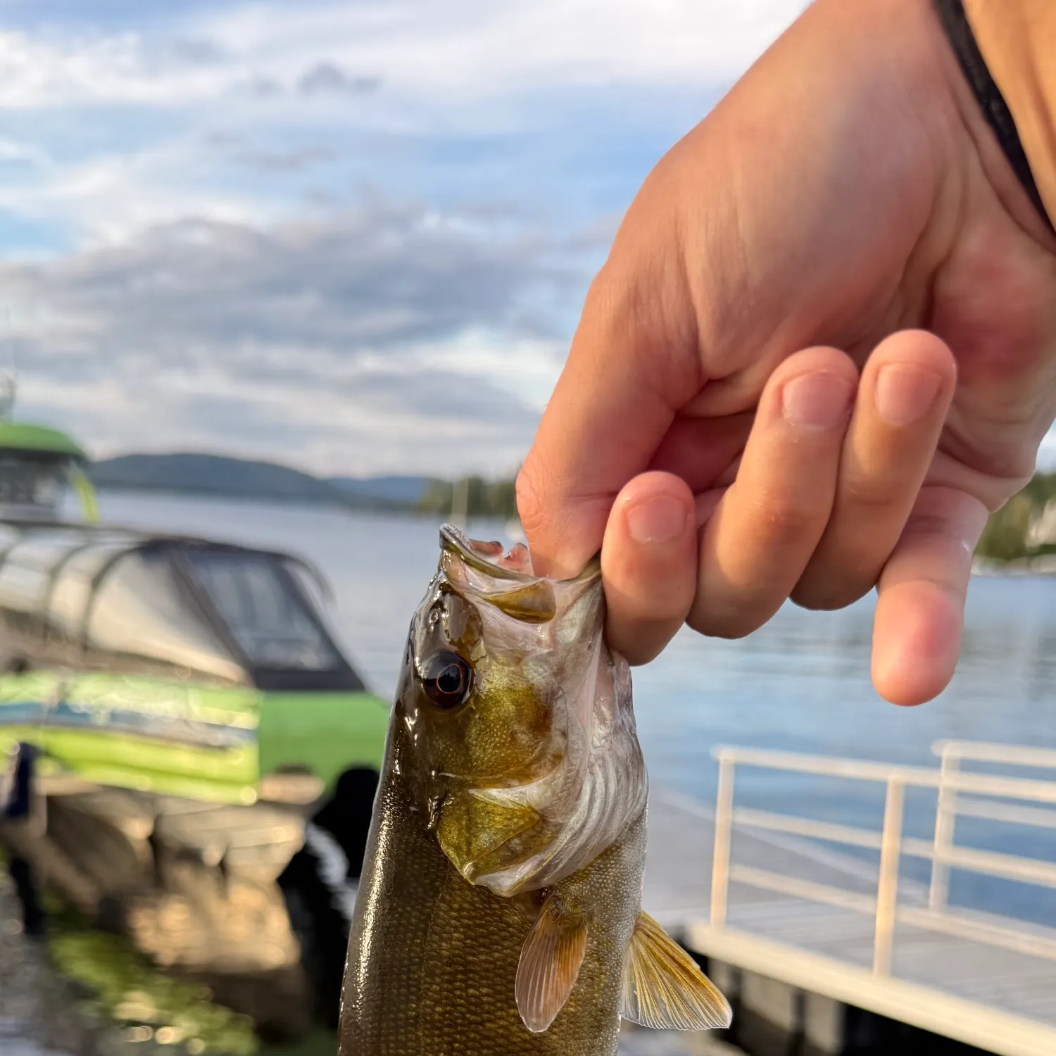 Smallmouth bass caught on Fishbrain