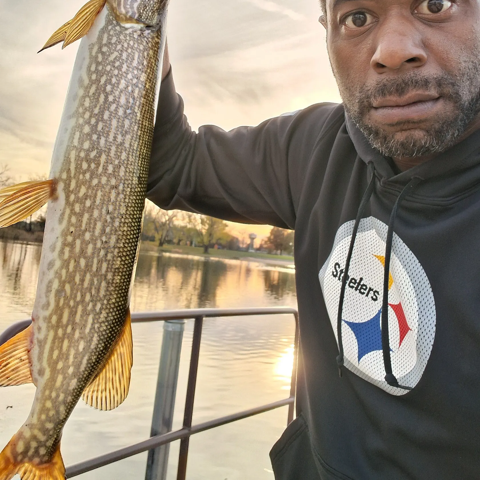 Northern pike caught on Fishbrain