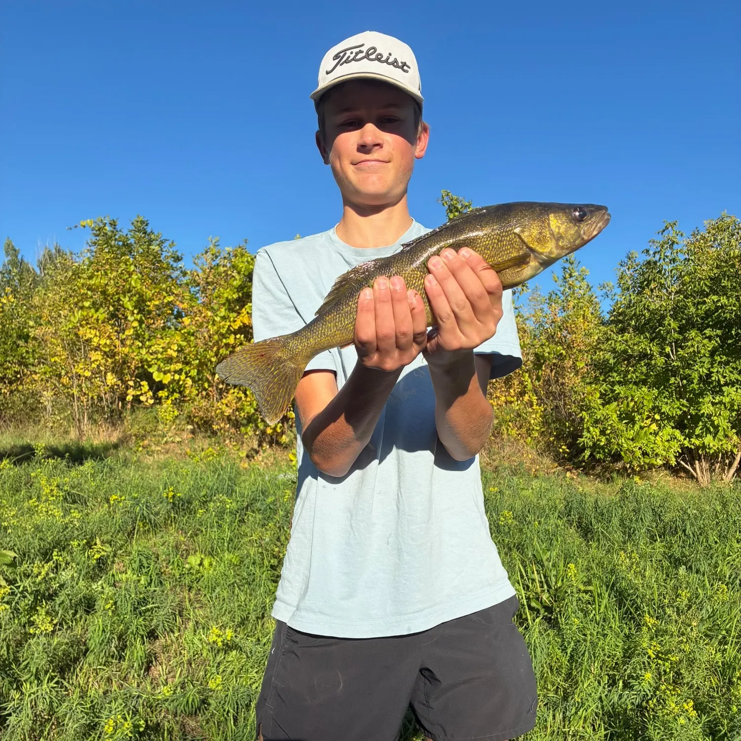 Walleye caught on Fishbrain