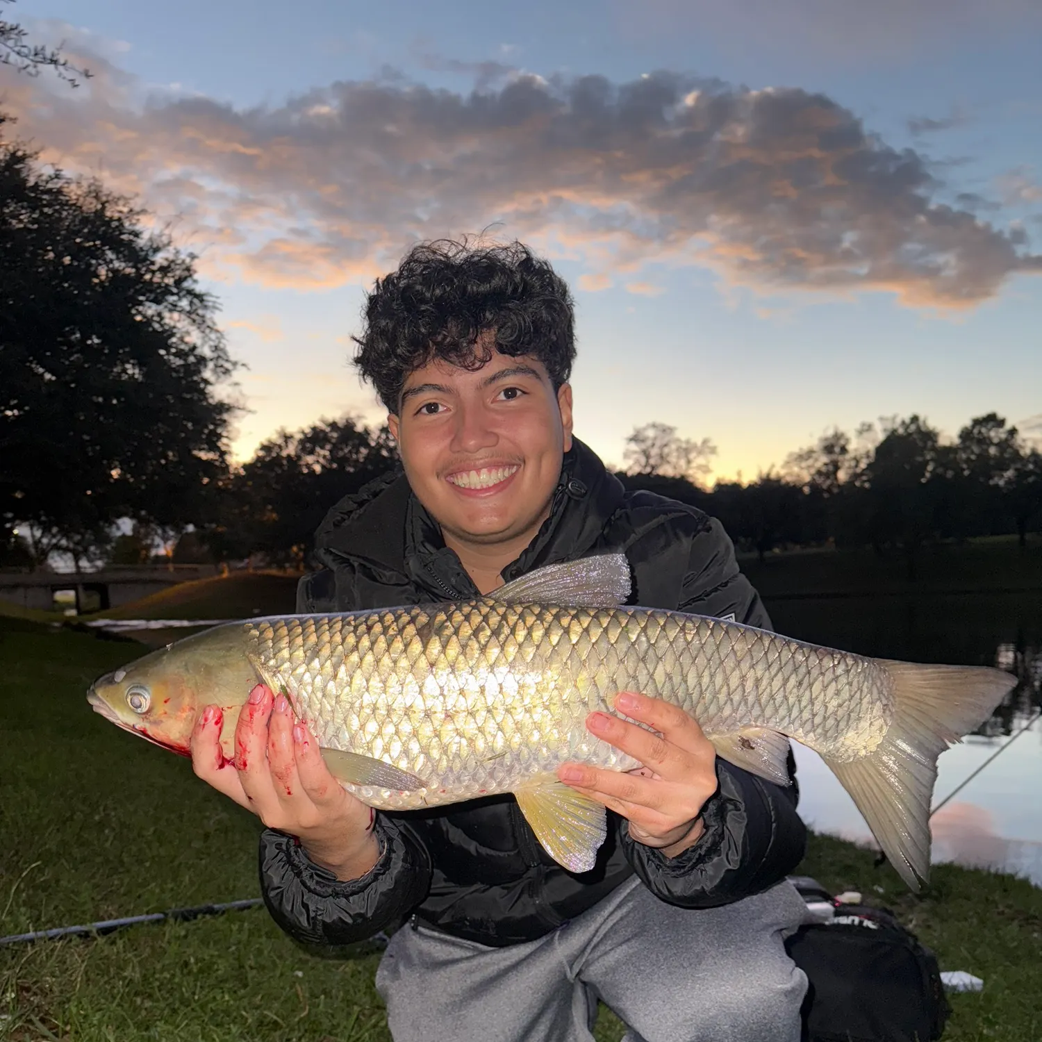 The most recent Grass carp catches on Fishbrain