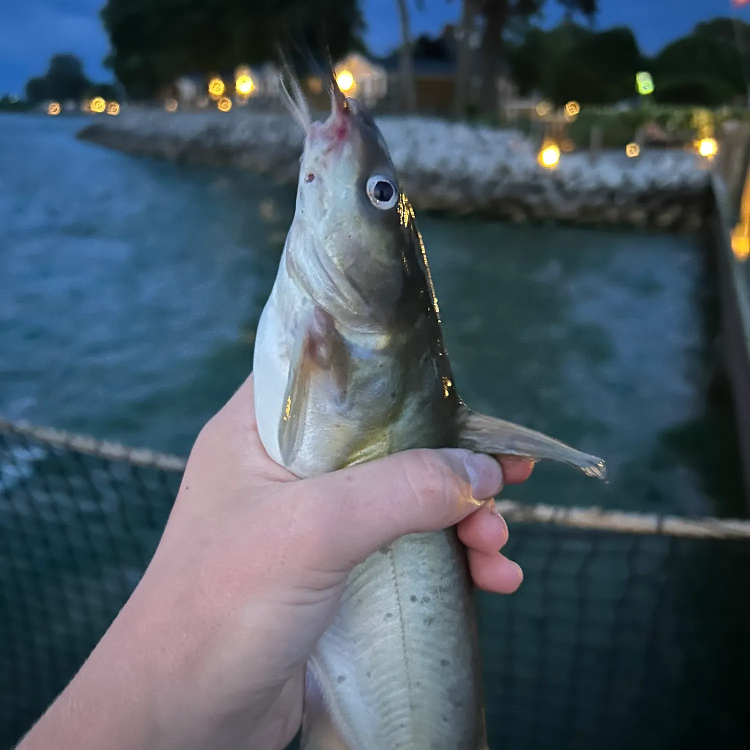 catch