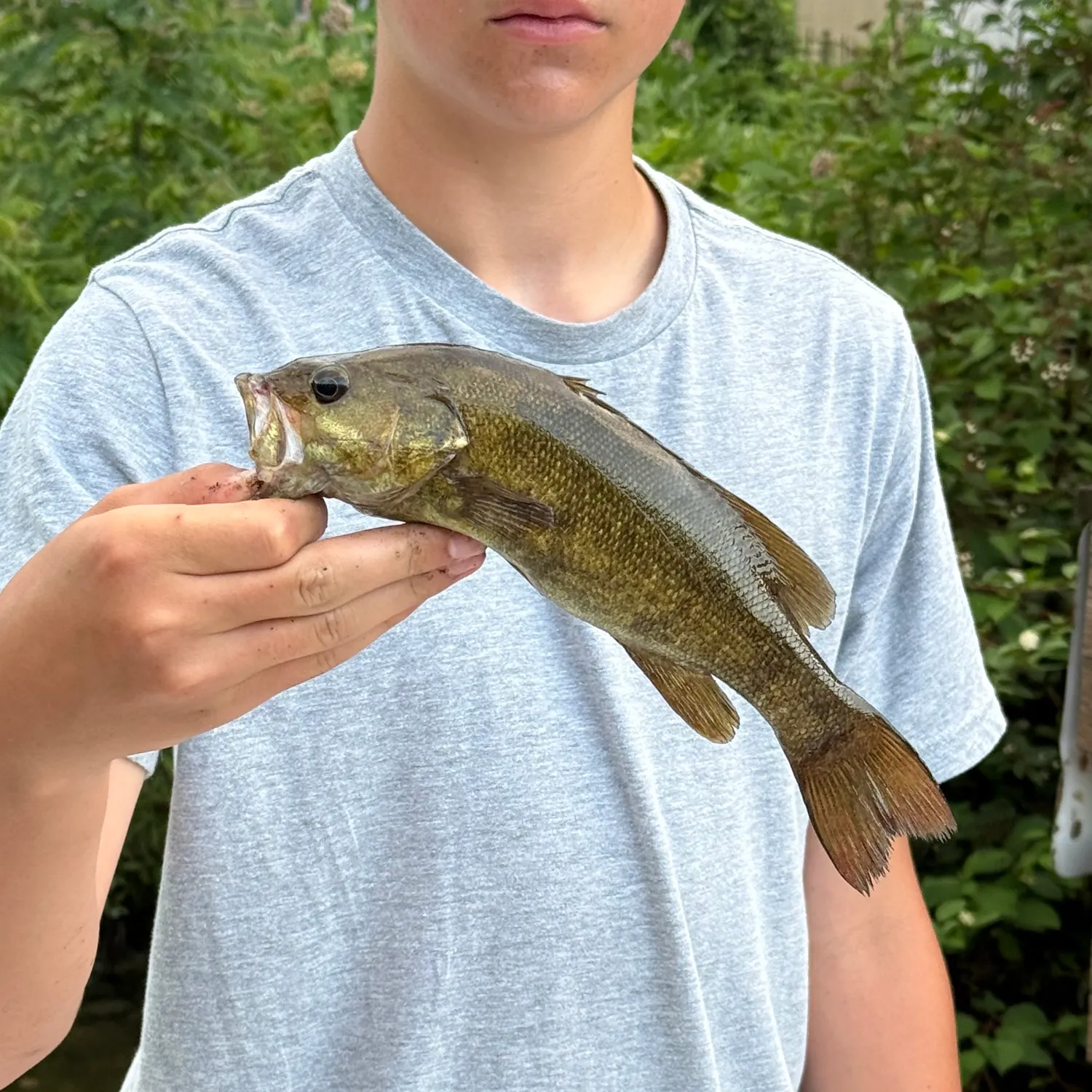 angler catch