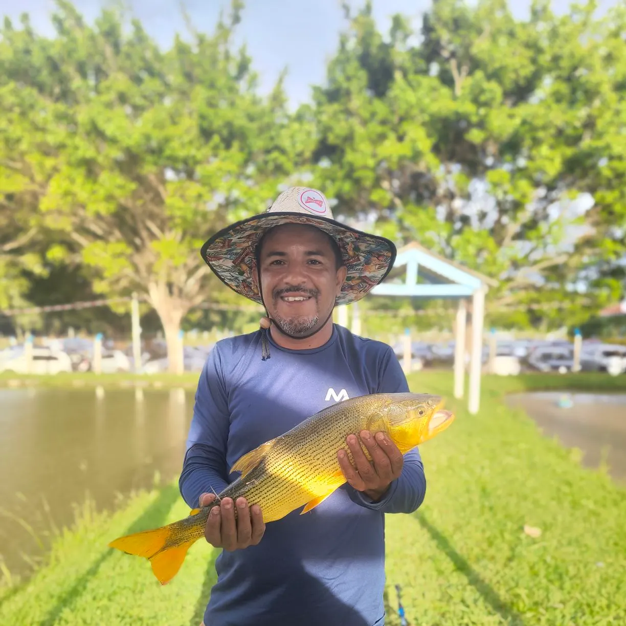 The most recent Golden dorado catches on Fishbrain