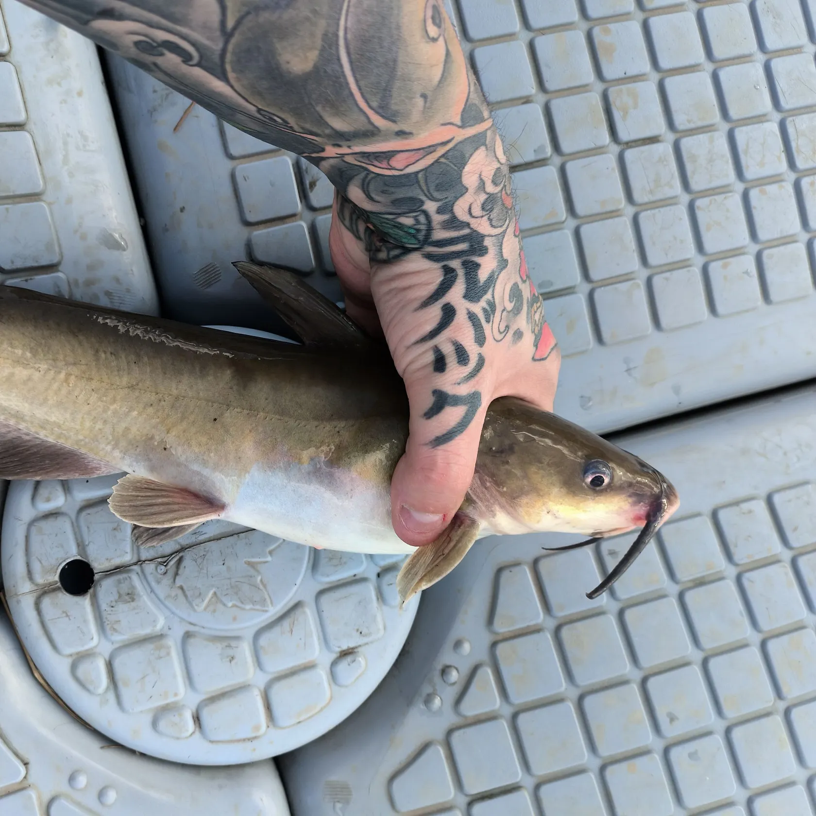 catch