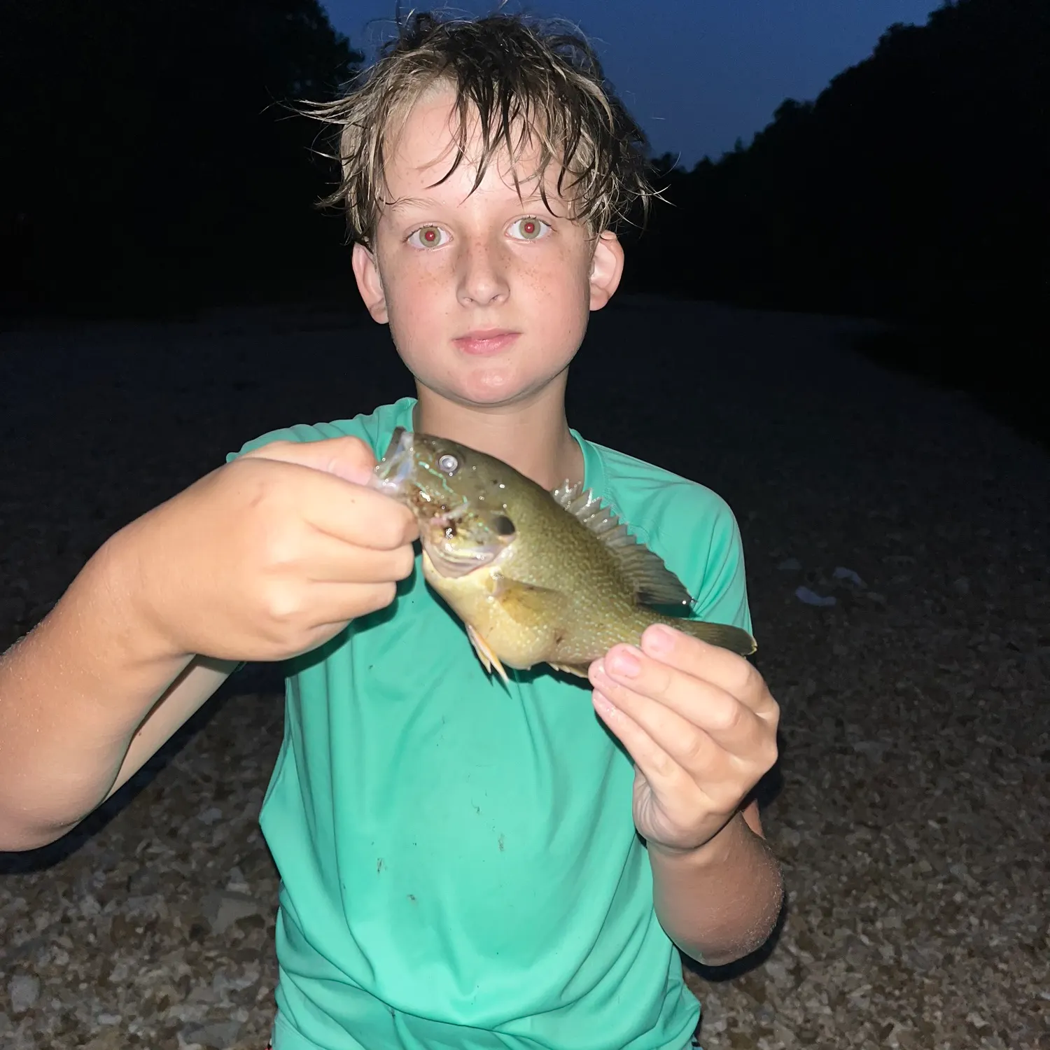 Green sunfish caught on Fishbrain