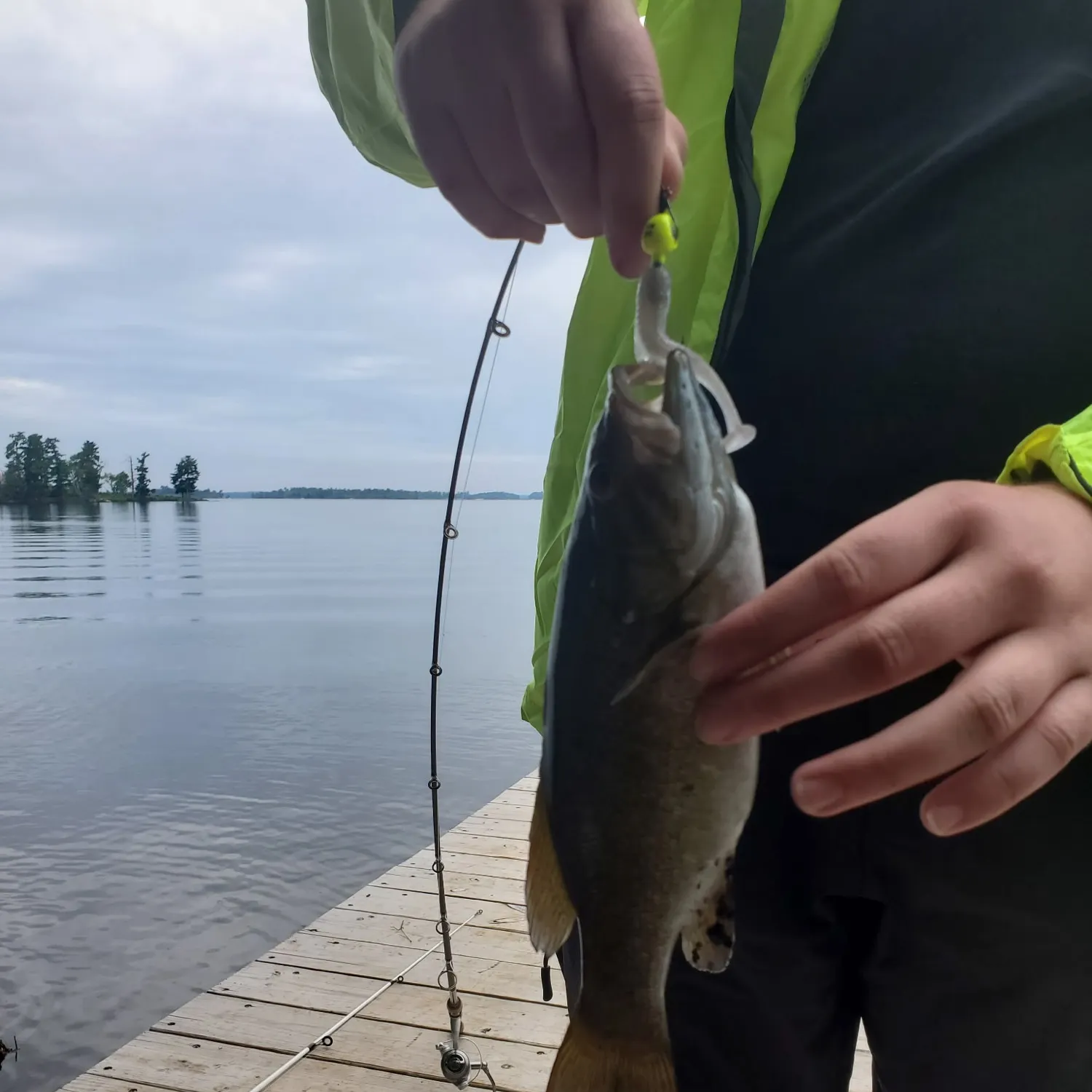 Smallmouth bass caught on Fishbrain