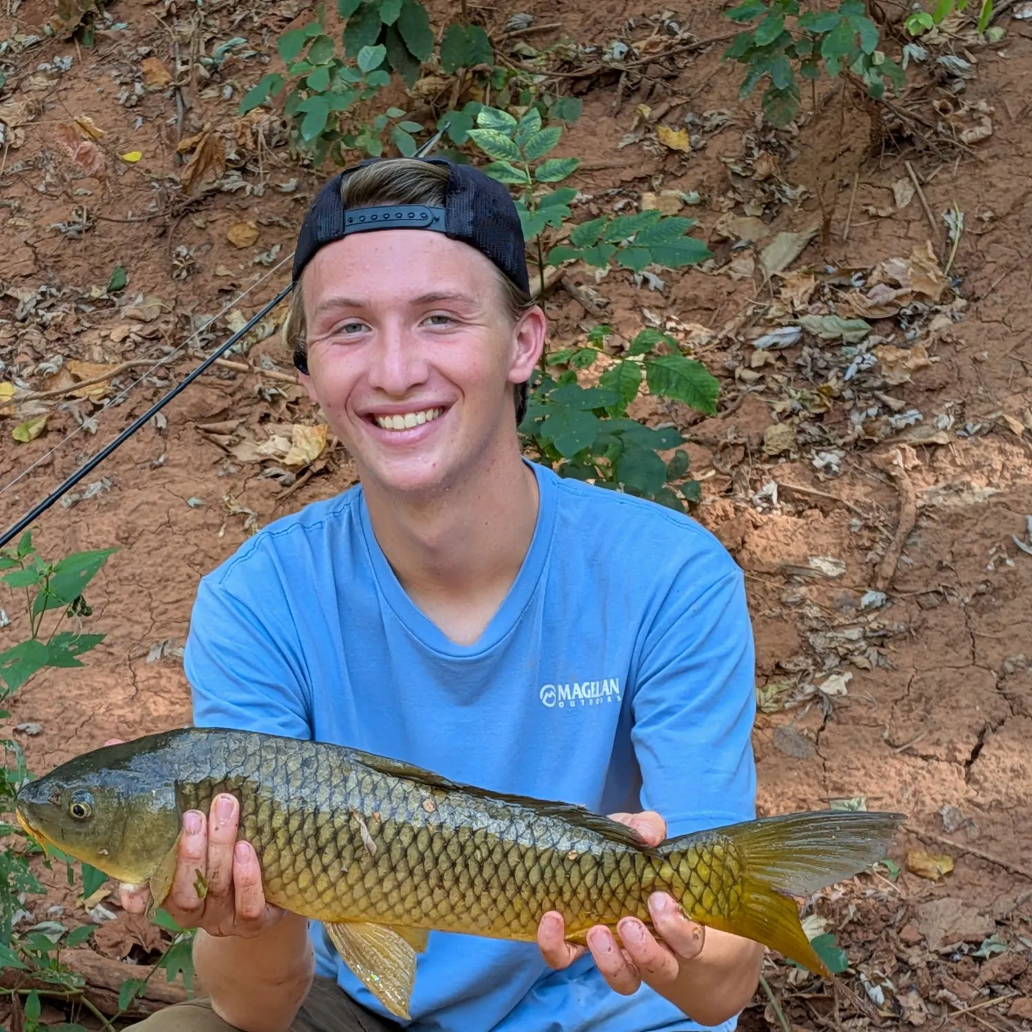 Common carp caught on Fishbrain