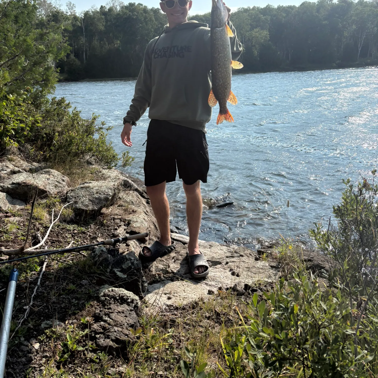 Northern pike caught on Fishbrain