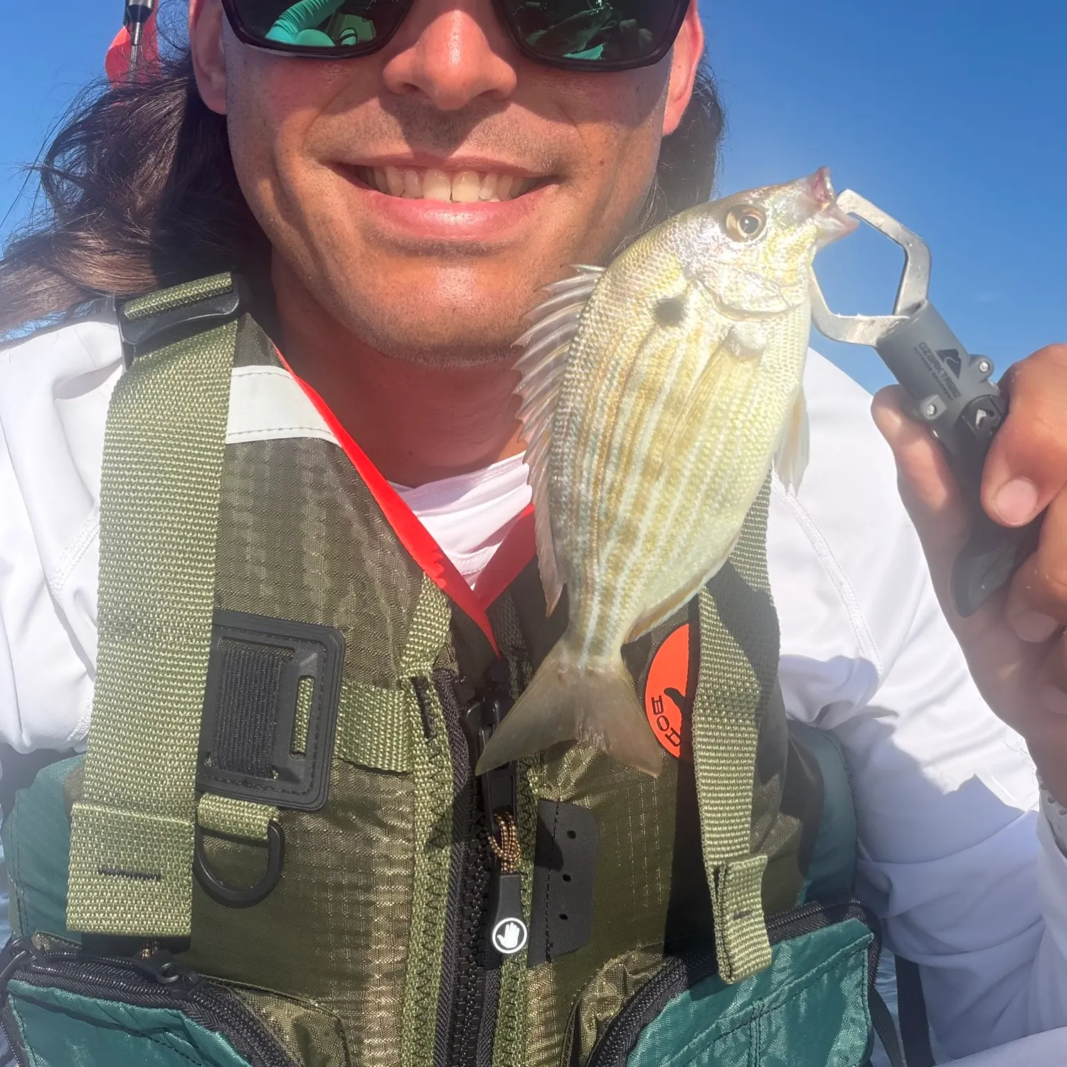 Pinfish caught on Fishbrain