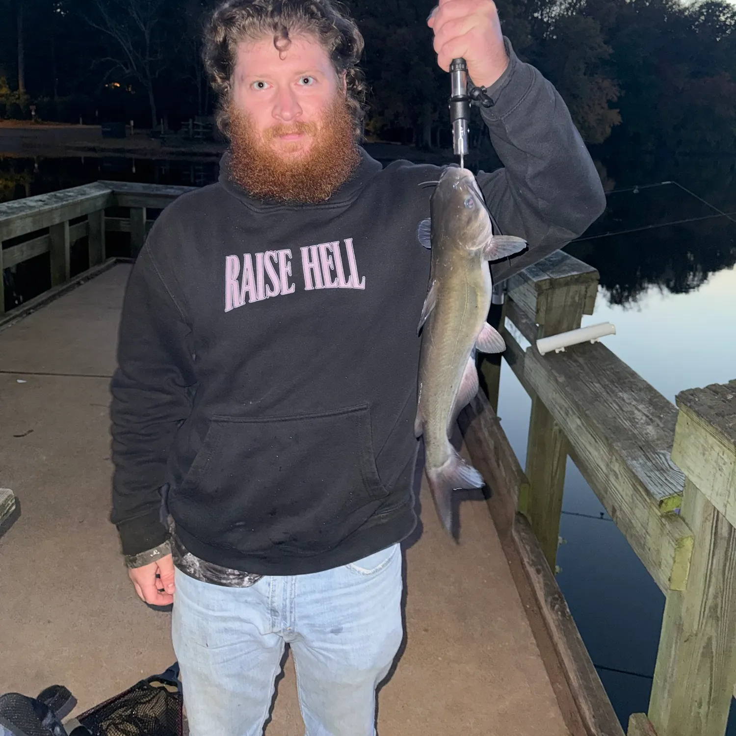 Channel catfish caught on Fishbrain