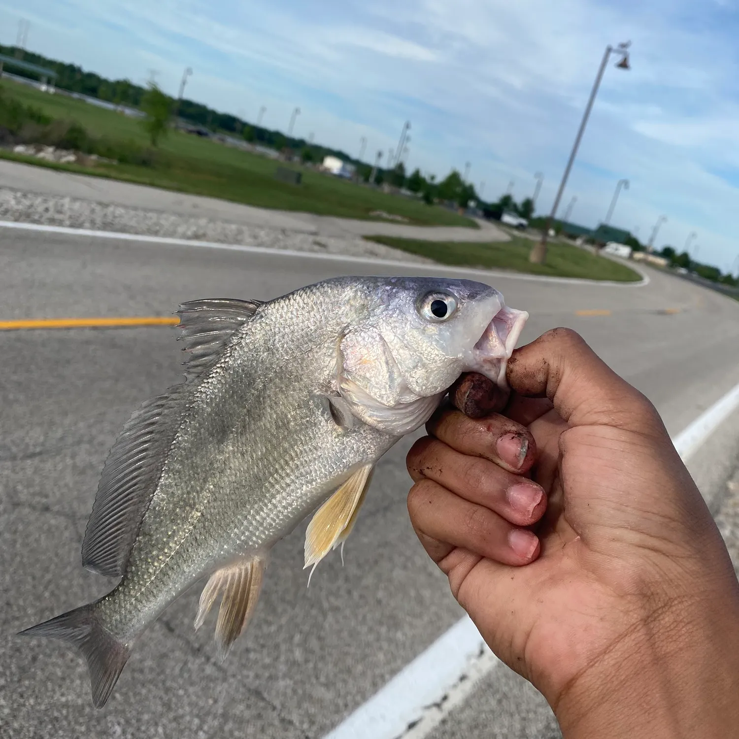catch