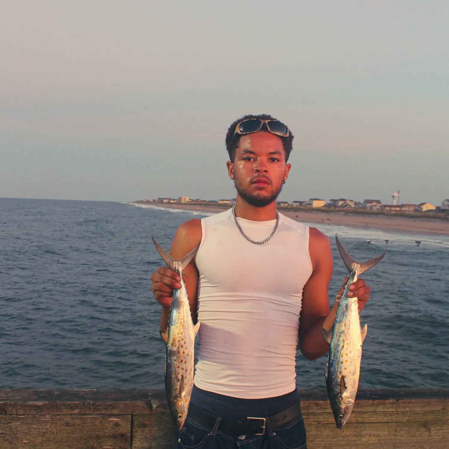 The most recent Spanish mackerel catches on Fishbrain