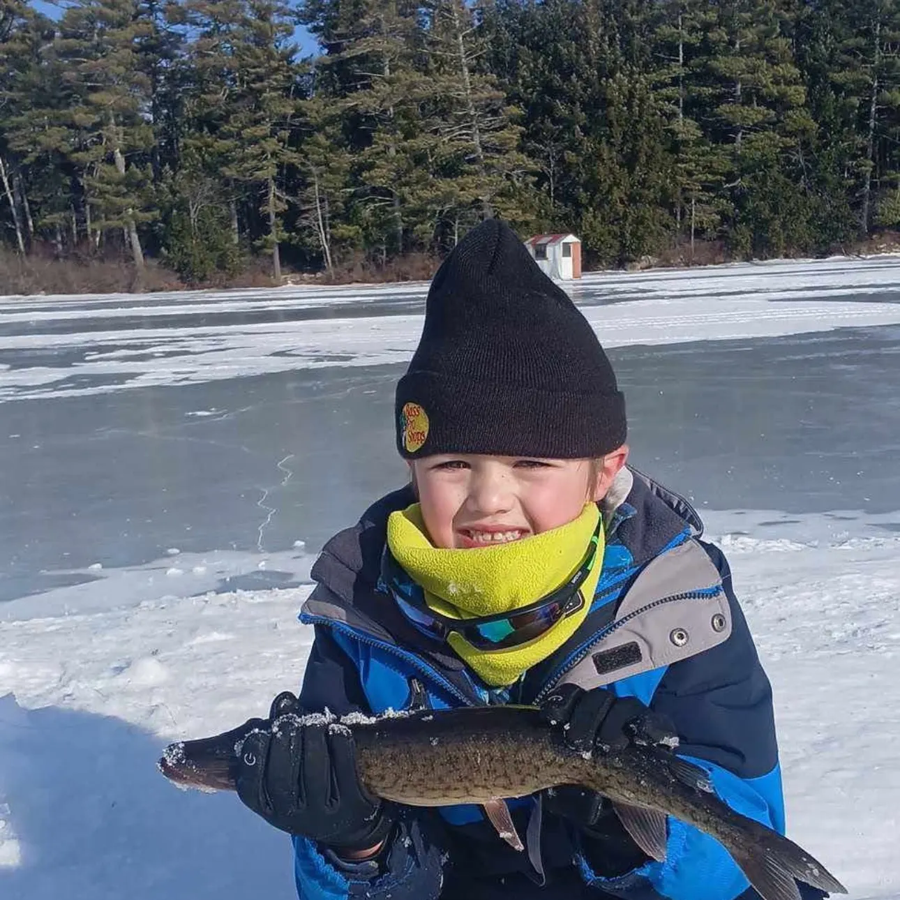The most recent Chain pickerel catches on Fishbrain