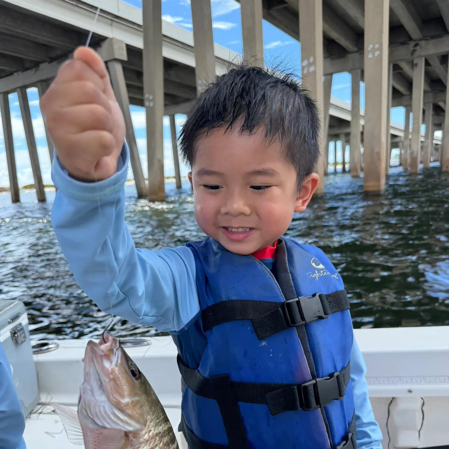 Mangrove snapper caught on Fishbrain
