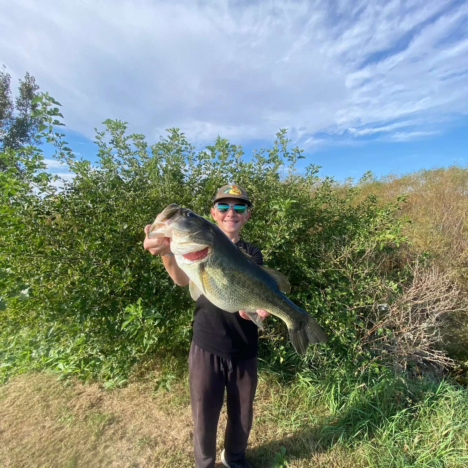 Largemouth bass caught on Fishbrain