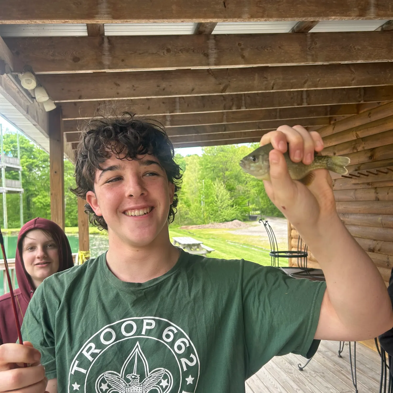 The most recent Bluegill catches on Fishbrain
