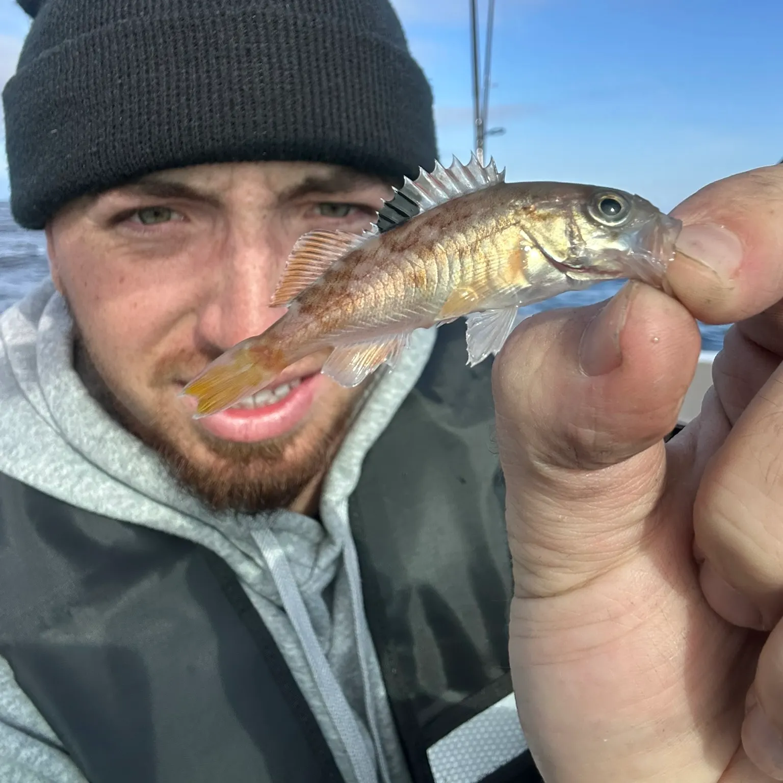 The most recent Yellowtail rockfish catches on Fishbrain
