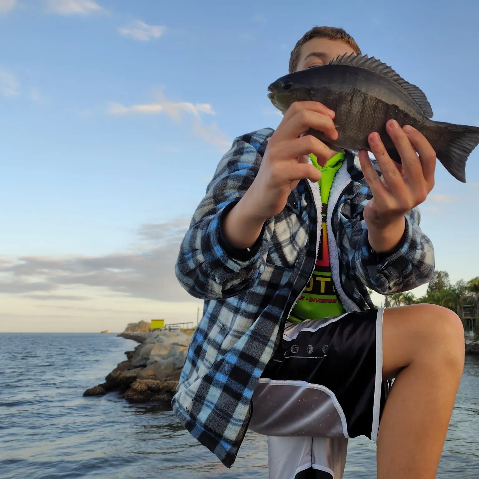 The most recent Zebra fish catches on Fishbrain