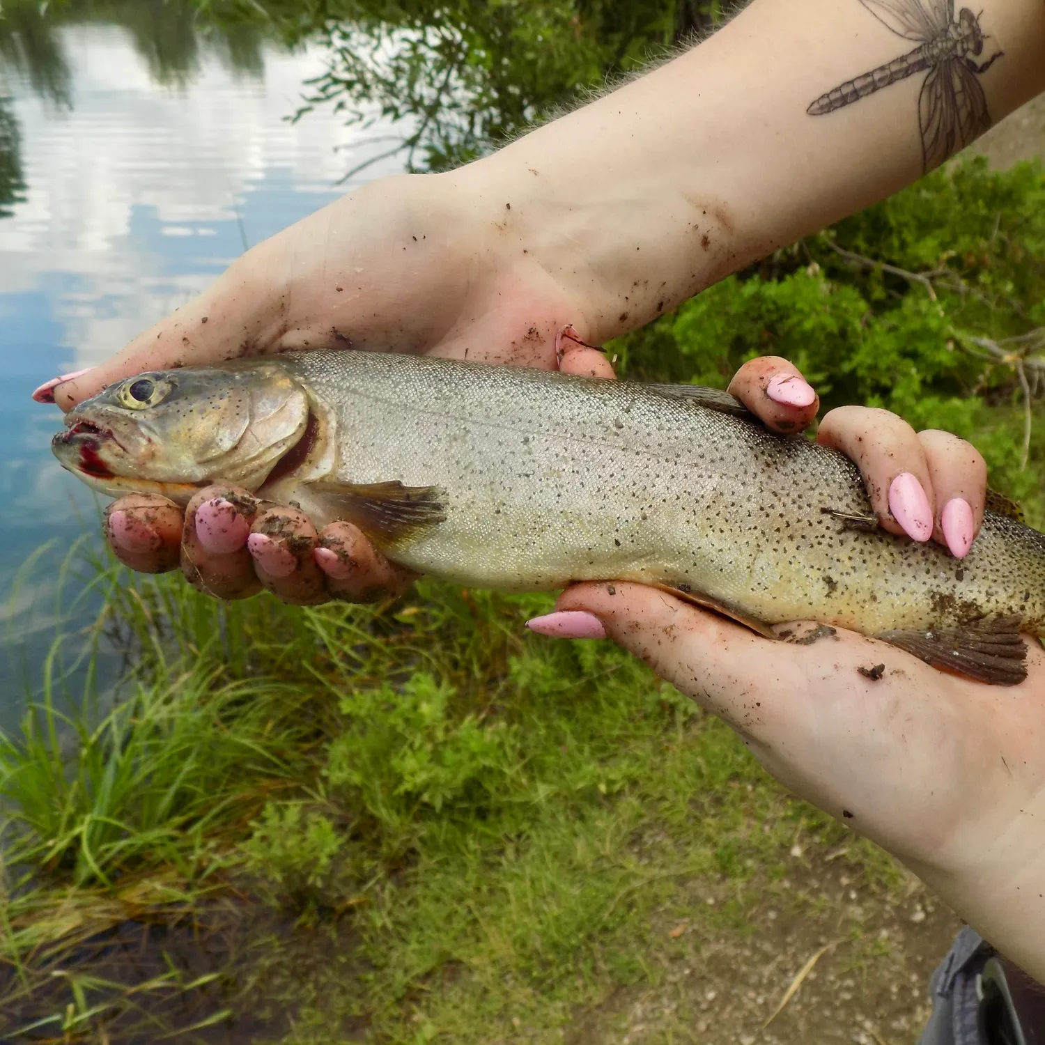 catch