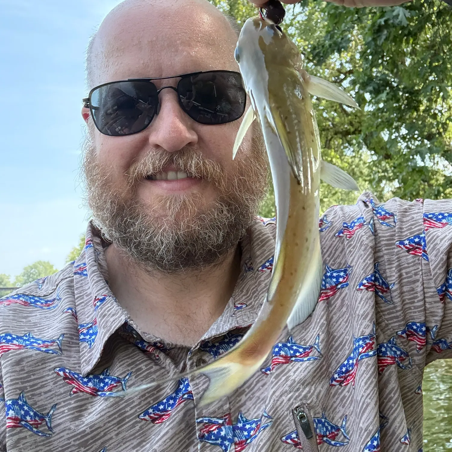 Channel catfish caught on Fishbrain