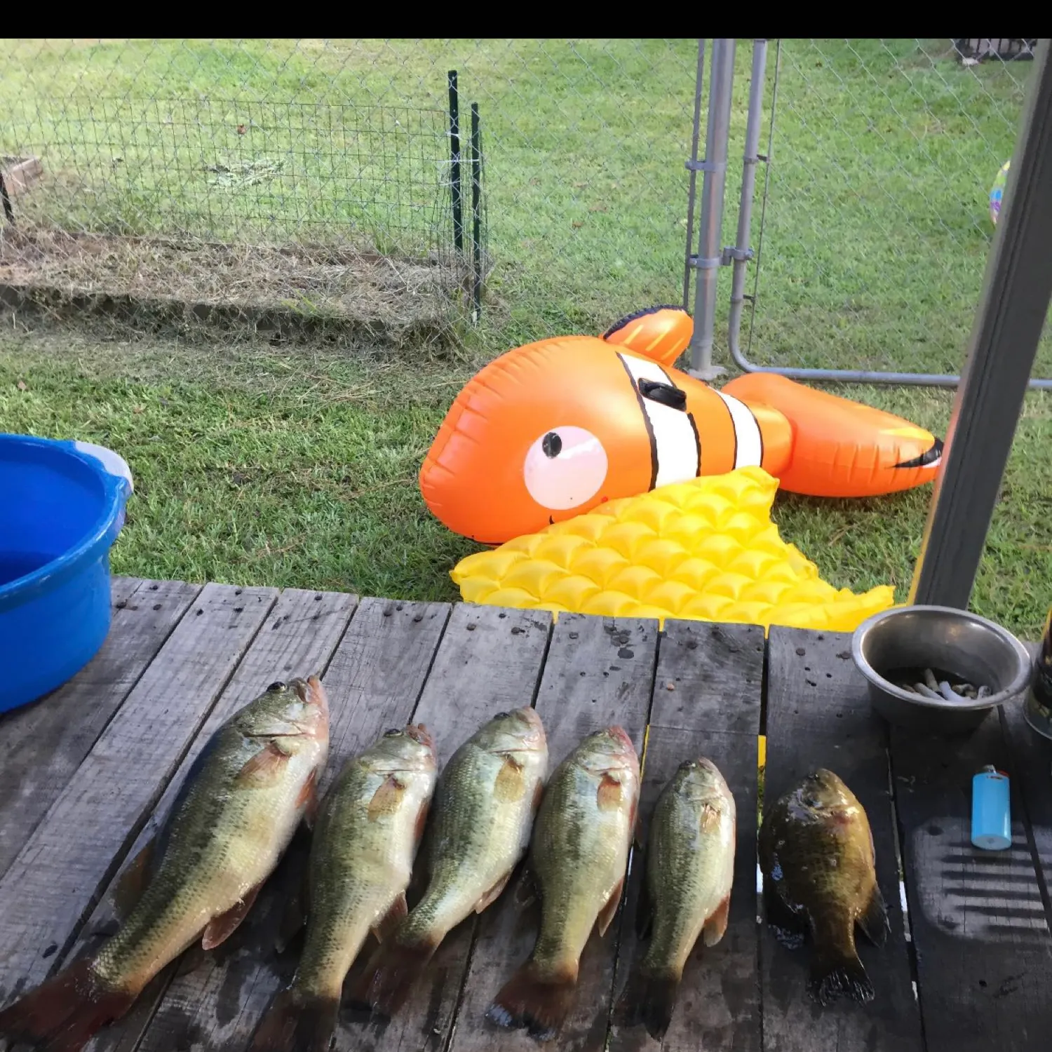 recently logged catches