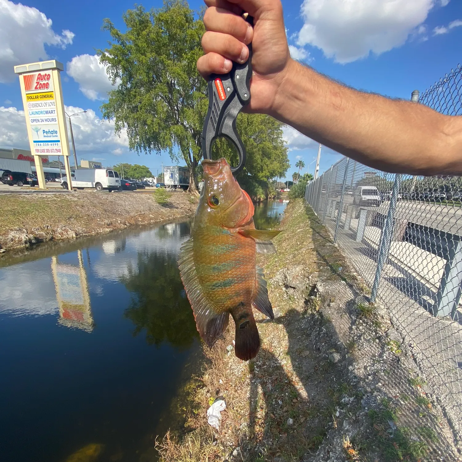 most liked catch image