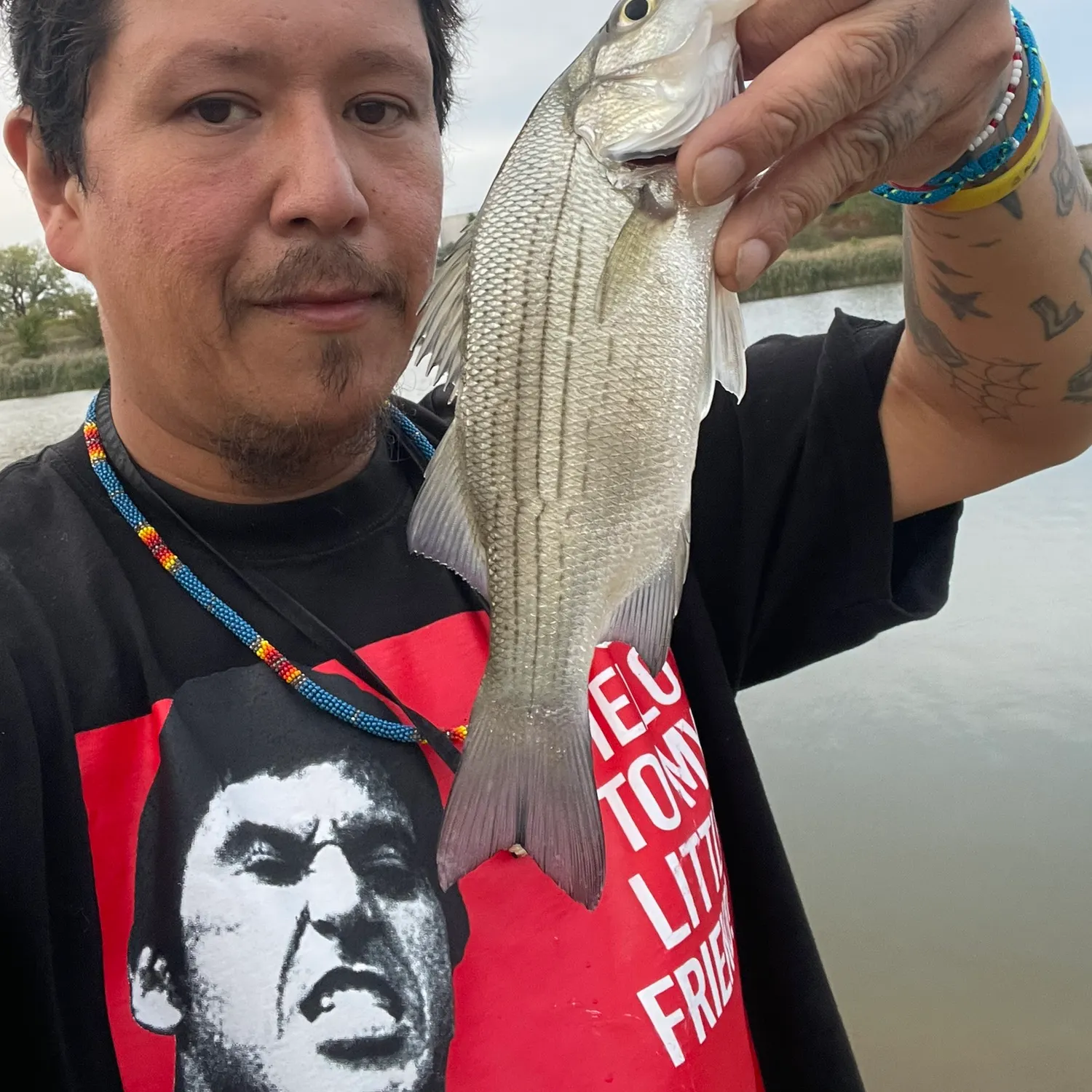 White bass caught on Fishbrain