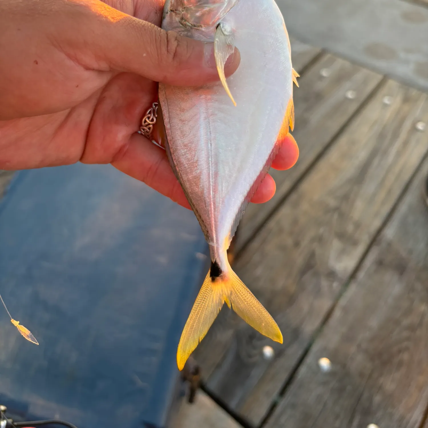 most liked catch image