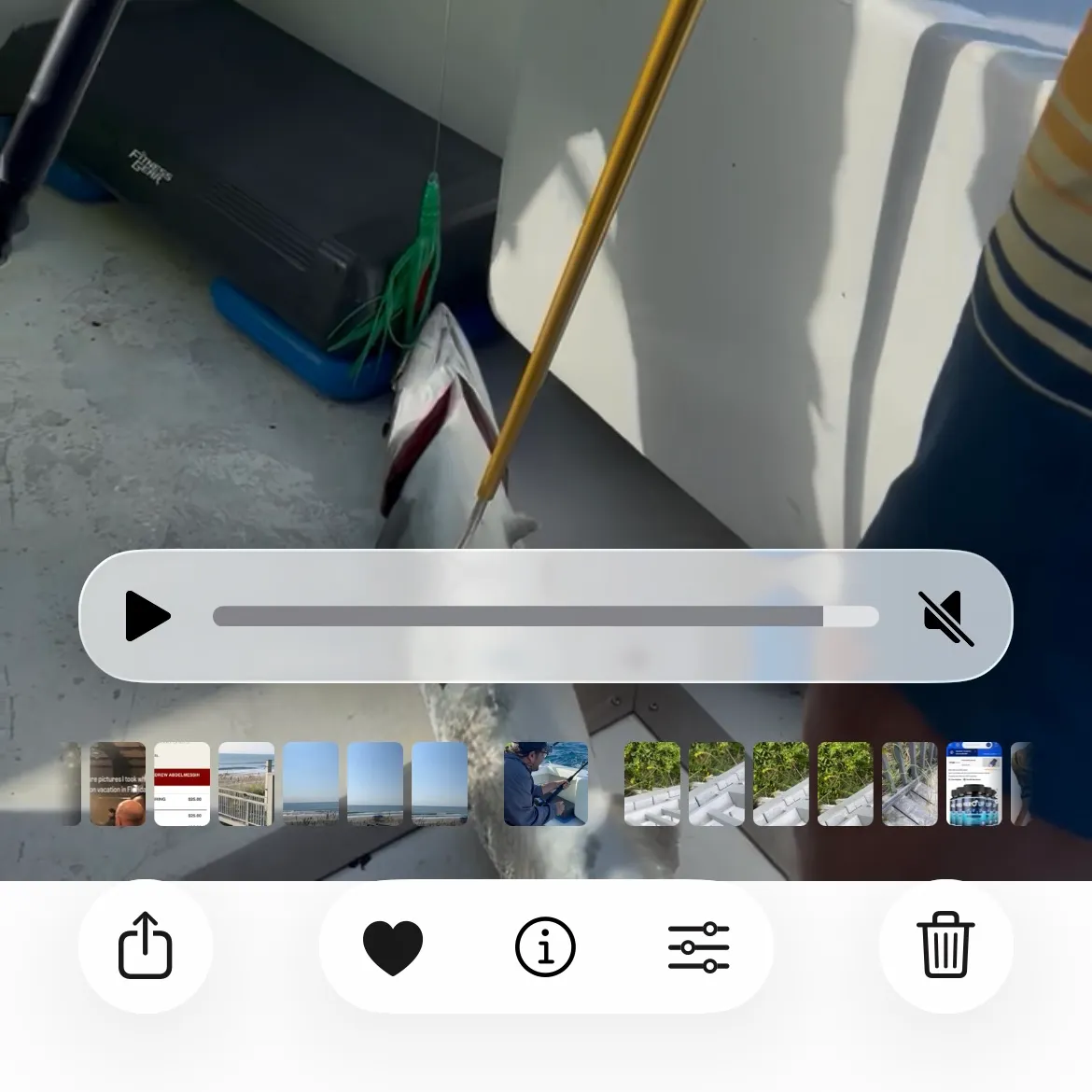 recently logged catches