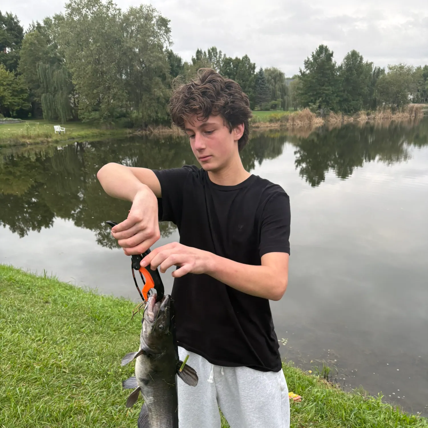 Channel catfish caught on Fishbrain