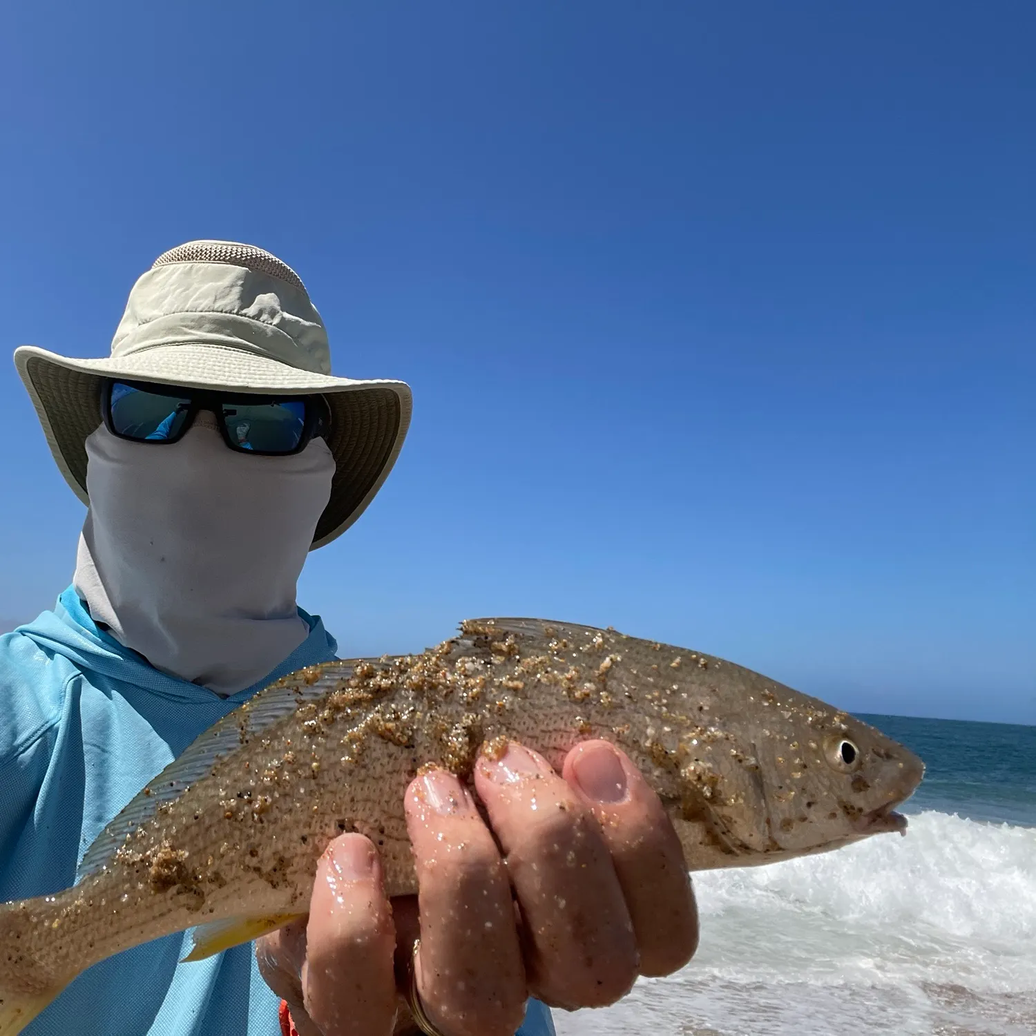 The most recent Yellowfin croaker catches on Fishbrain
