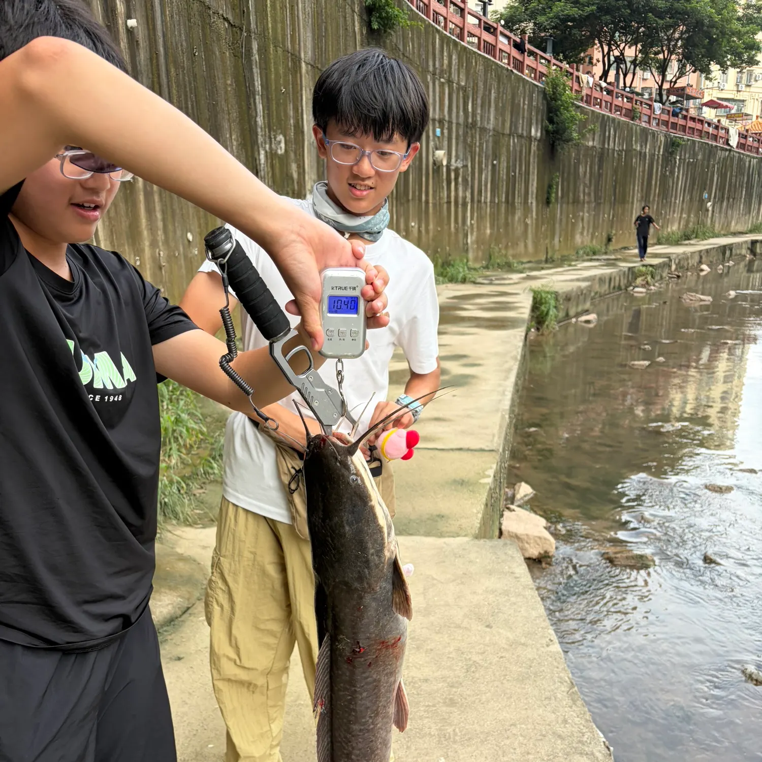 North African catfish caught on Fishbrain
